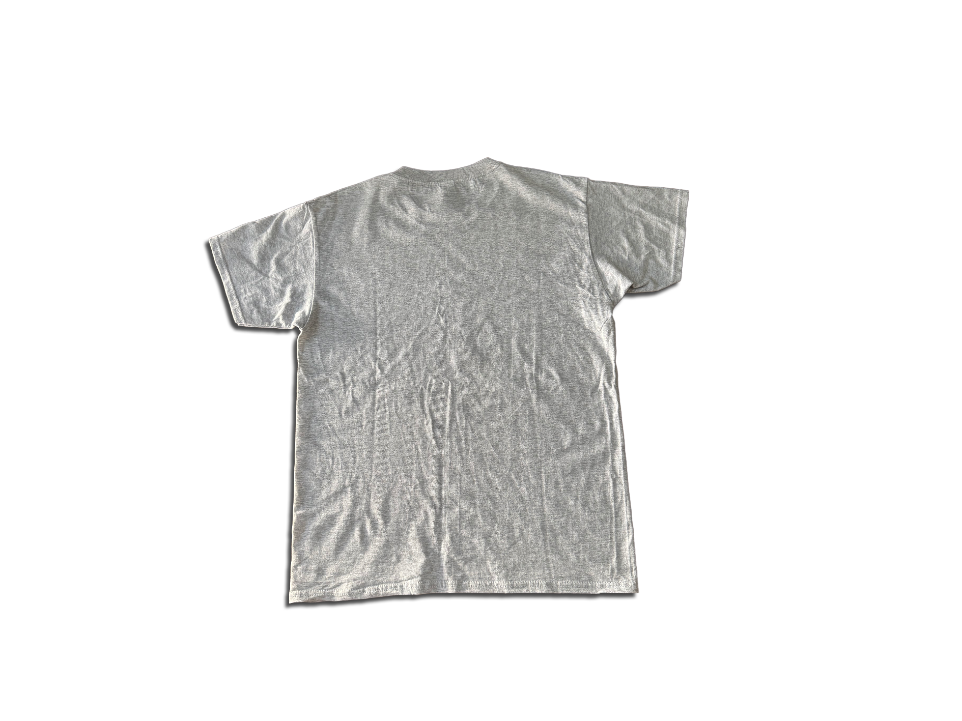 TEE “SWAGNIVERSITY”